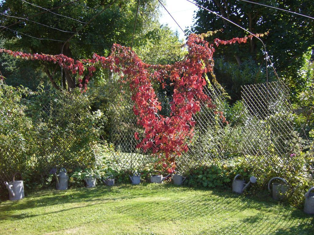 Les Jardins De L'Aulnaie Bed & Breakfast Fontaine-sous-Jouy Exterior photo