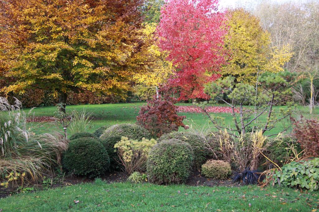 Les Jardins De L'Aulnaie Bed & Breakfast Fontaine-sous-Jouy Exterior photo